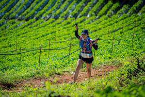 BIB: 
                            <button type="button" onclick="openModal(19162956)" class="btn btn-primary btn-sm float-right btn-popup" data-toggle="modal" data-target=".modal-high-quality">
                        <i class="fas fa-shopping-cart"></i> Add to Cart
                    </button>
                                            <button type="button" onclick="isThisMe(19162956, true)" class="btn btn-success btn-sm float-right btn-popup btn-isme hidden" data-toggle="tooltip" data-placement="bottom" title="นี่คือรูปของคุณใช่ไหม คลิกที่นี่เพื่อเอาเข้าอัลบั้ม">
                        <i class="fas fa-plus"></i> Add to album
                    </button>
                    <button type="button" onclick="isThisMe(19162956, false)" class="btn btn-warning btn-sm float-right btn-popup btn-isnotme hidden">
                        <i class="fas fa-ban"></i> Remove from album
                    </button>